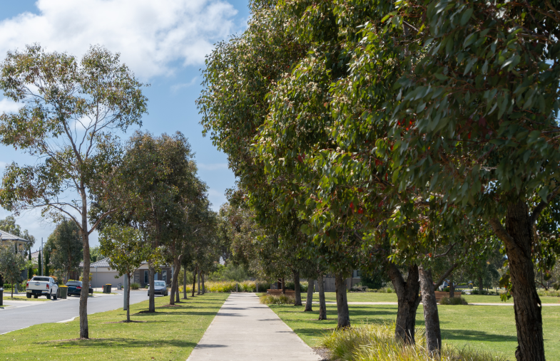 Urban Greening Grant Boosts Tree Canopy in Foothills